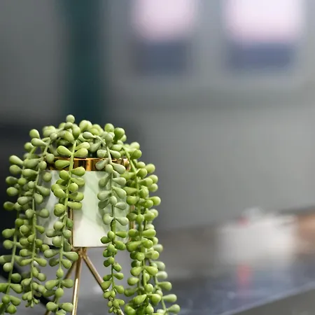 아파트 Heart Of - The Gem *