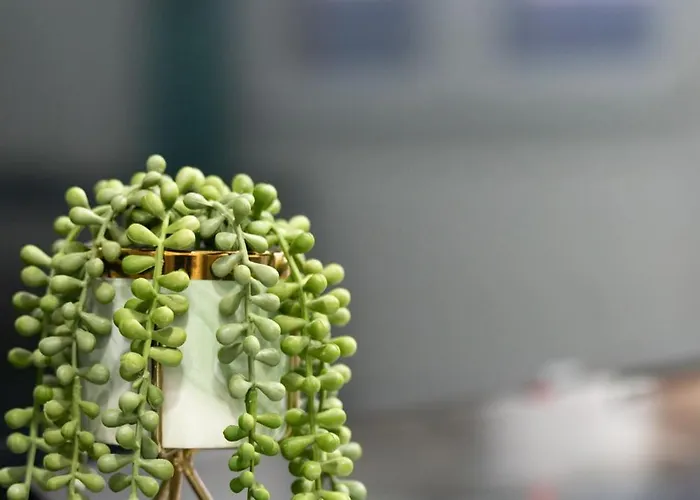 公寓 Heart Of - The Gem *